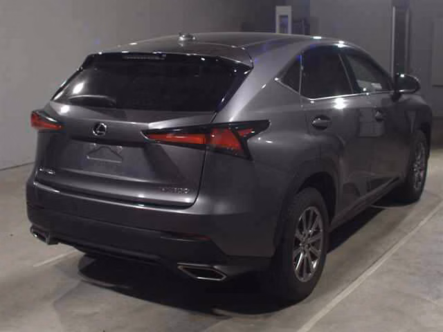 LEXUS NX300