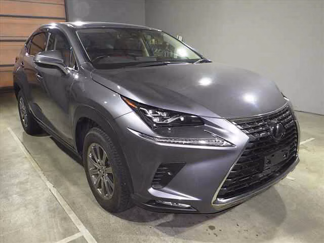 LEXUS NX300