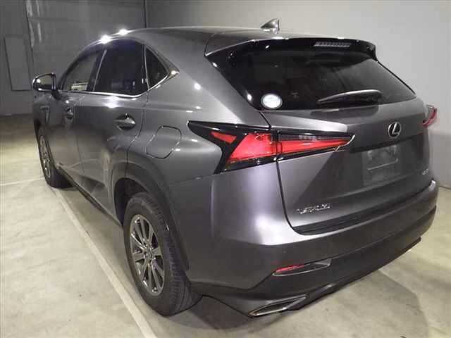 LEXUS NX300