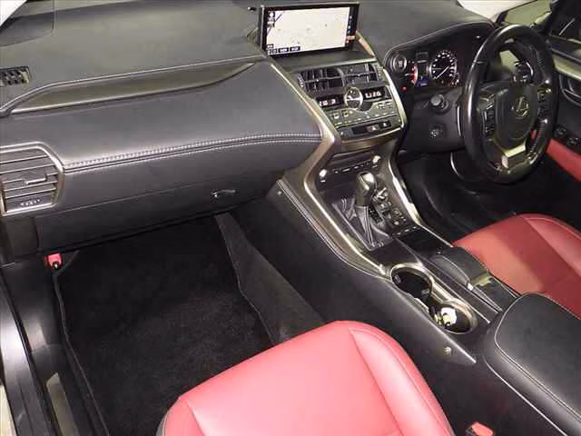 LEXUS NX300