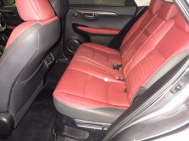 LEXUS NX300