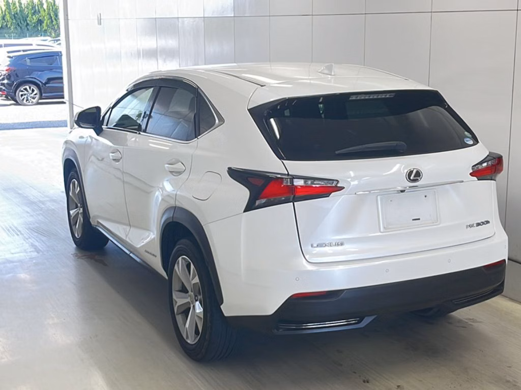 LEXUS NX300