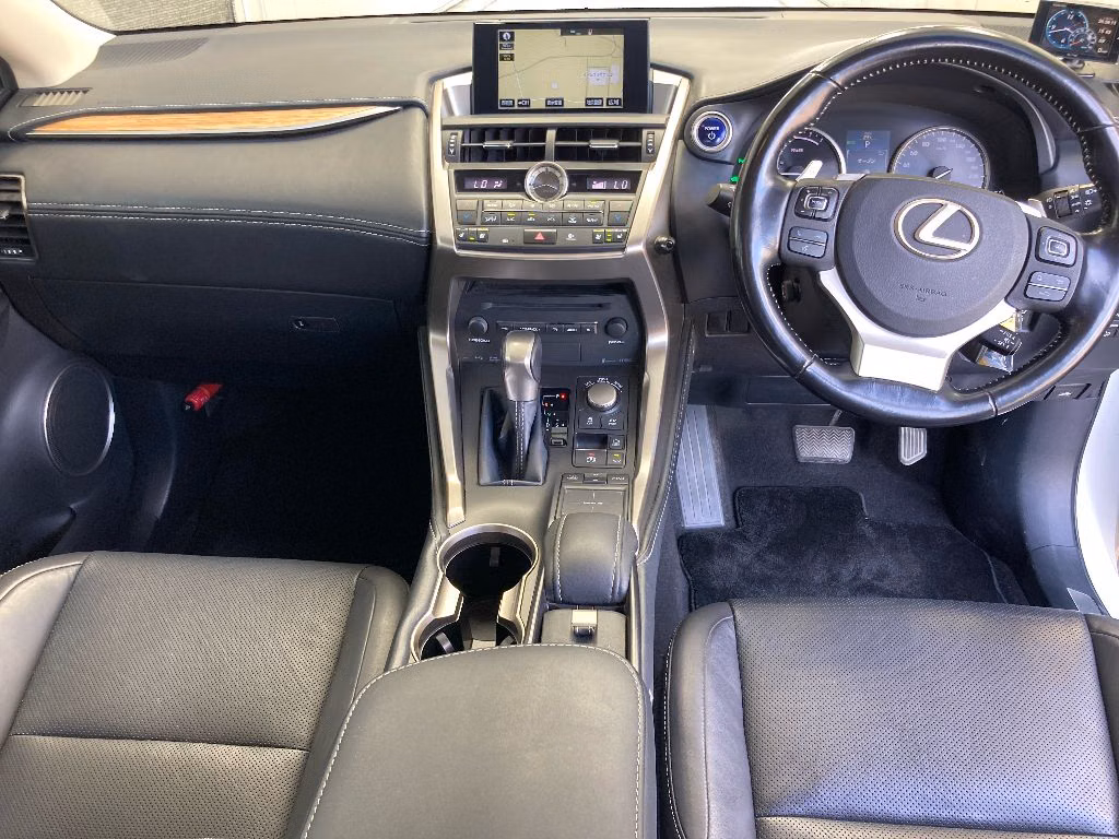 LEXUS NX300
