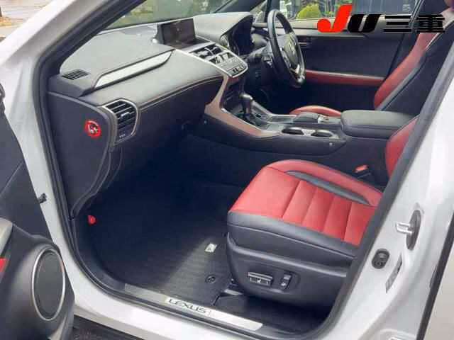 LEXUS NX300