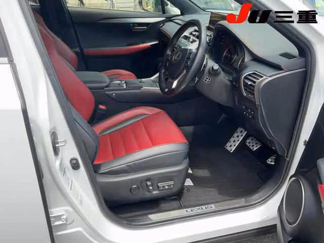 LEXUS NX300