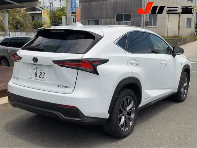 LEXUS NX300