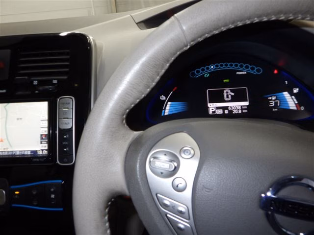 NISSAN LEAF