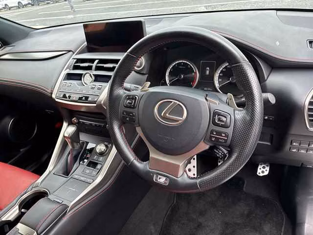 LEXUS NX300