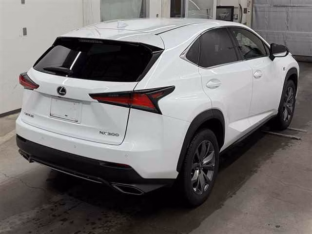LEXUS NX300