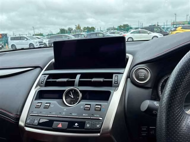 LEXUS NX300