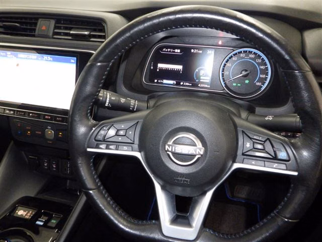 NISSAN LEAF