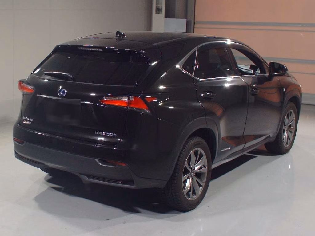 LEXUS NX300