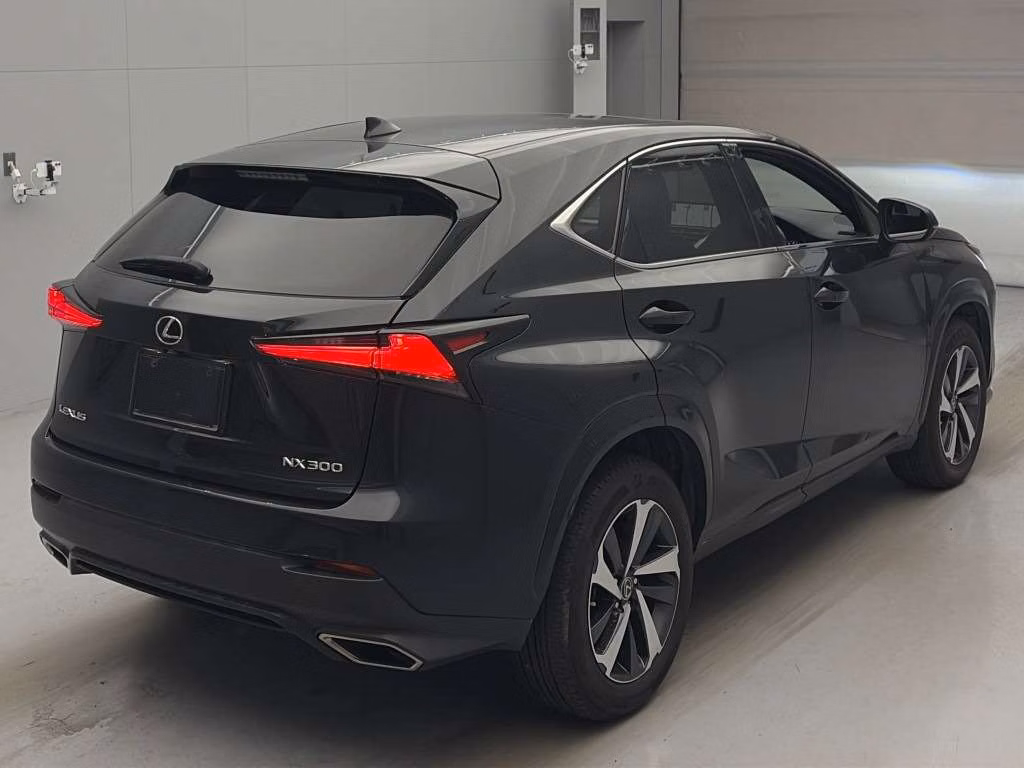 LEXUS NX300