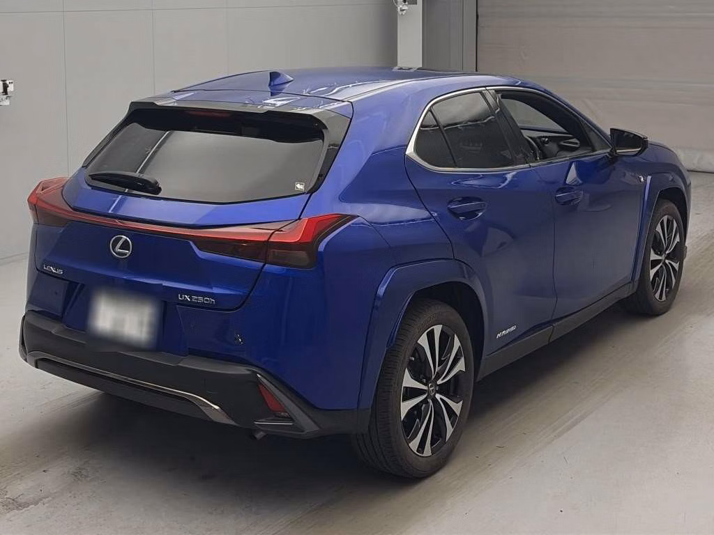 LEXUS UX250H