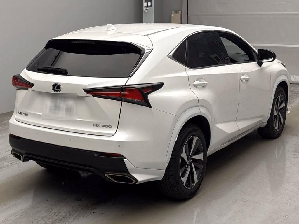LEXUS NX300