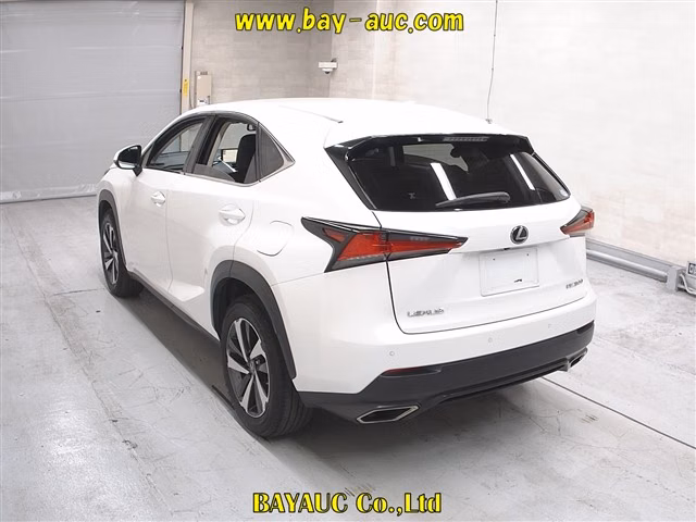 LEXUS NX300