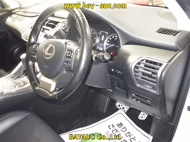 LEXUS NX300