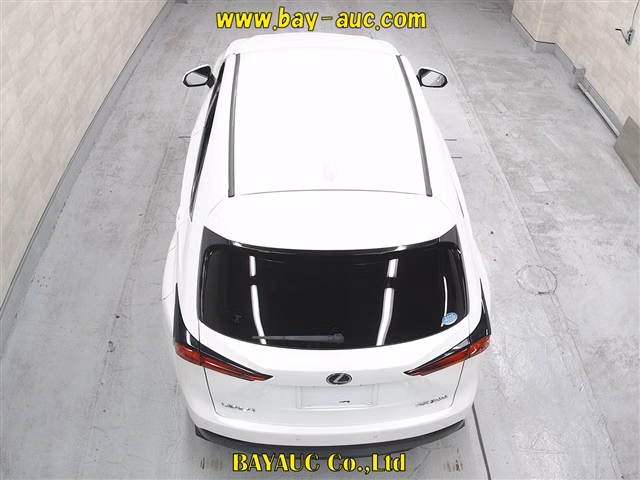 LEXUS NX300