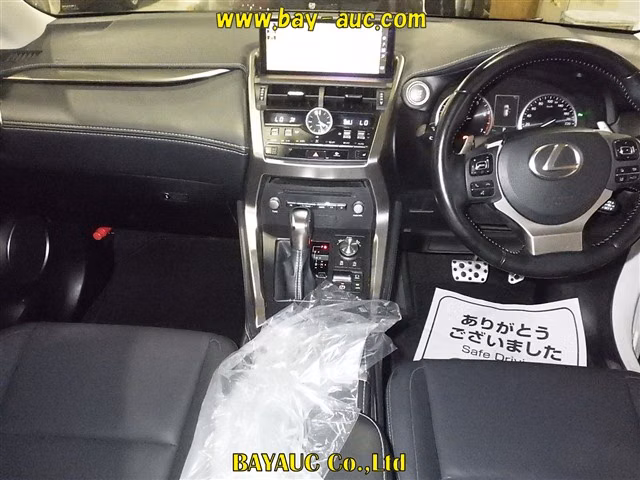 LEXUS NX300
