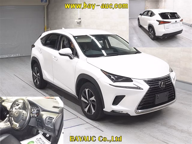 LEXUS NX300