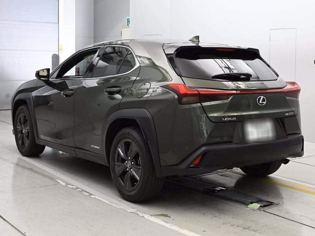 LEXUS UX250H