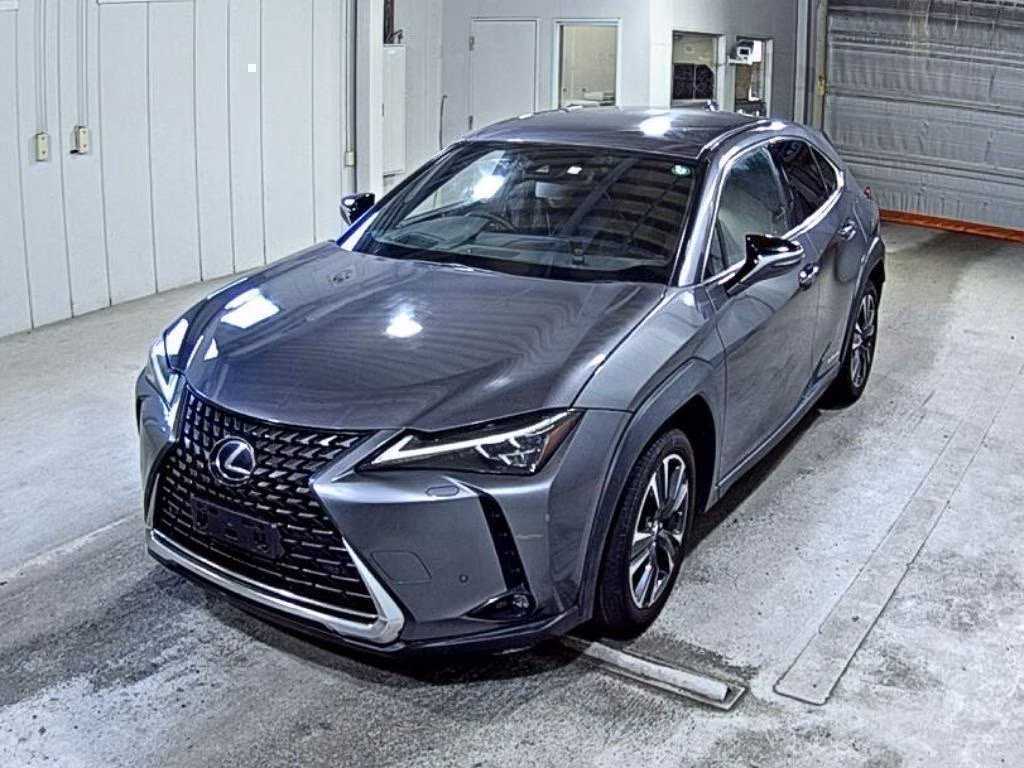 LEXUS UX250H
