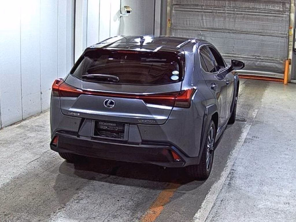 LEXUS UX250H