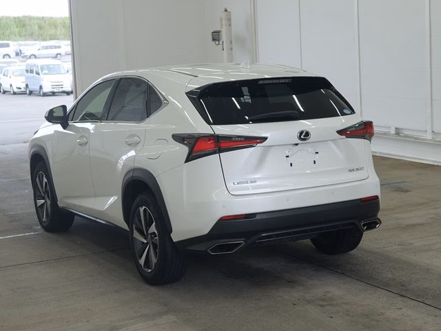 LEXUS NX300