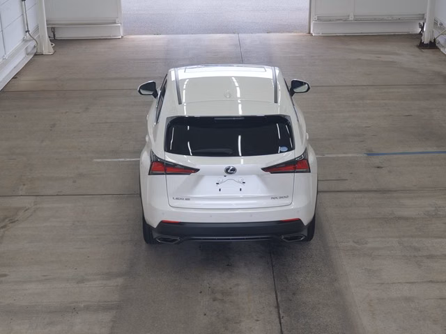 LEXUS NX300