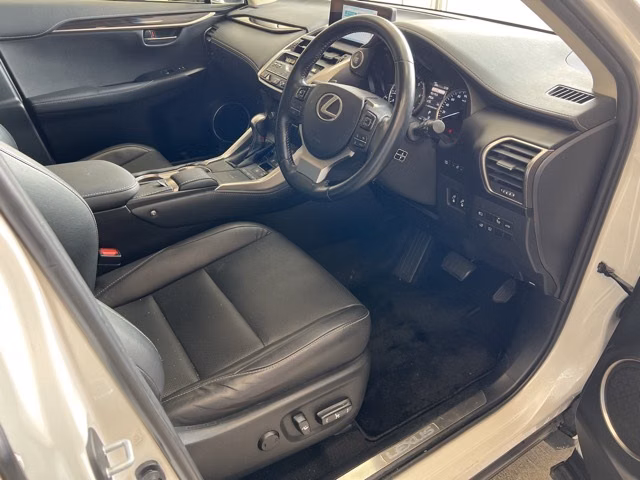 LEXUS NX300
