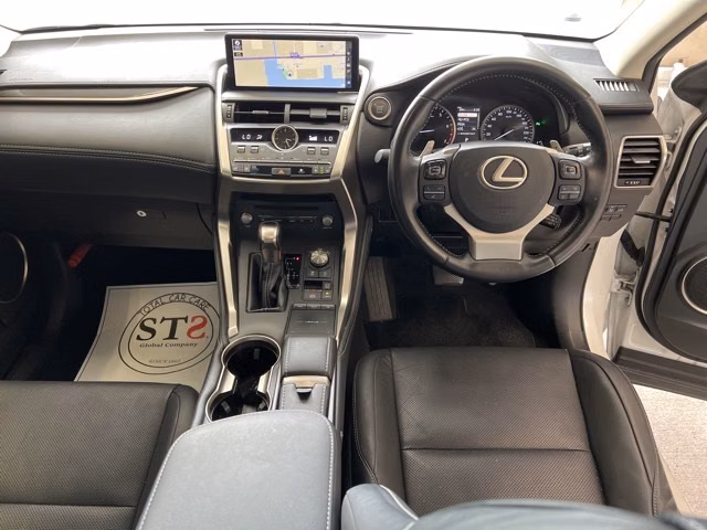 LEXUS NX300