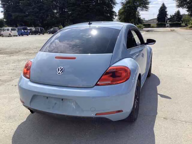 VOLKSWAGEN BEETLE