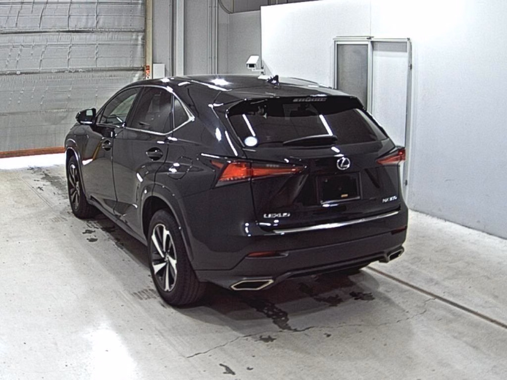 LEXUS NX300
