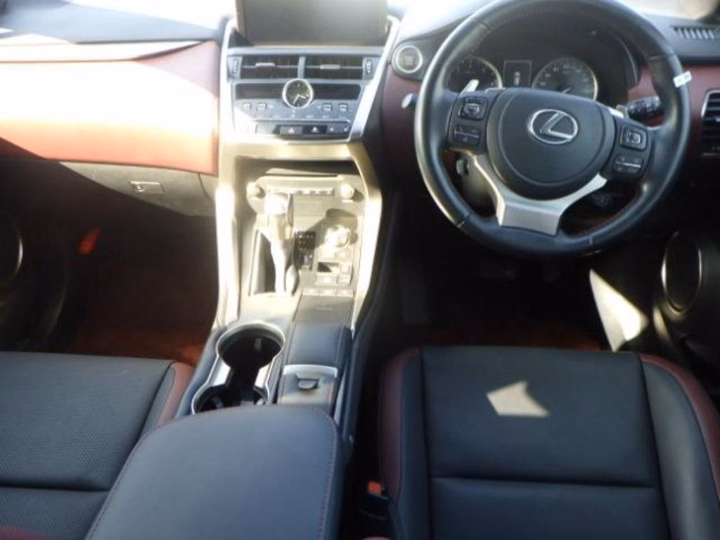 LEXUS NX300