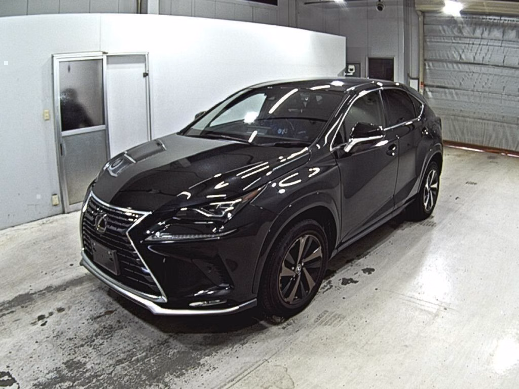 LEXUS NX300