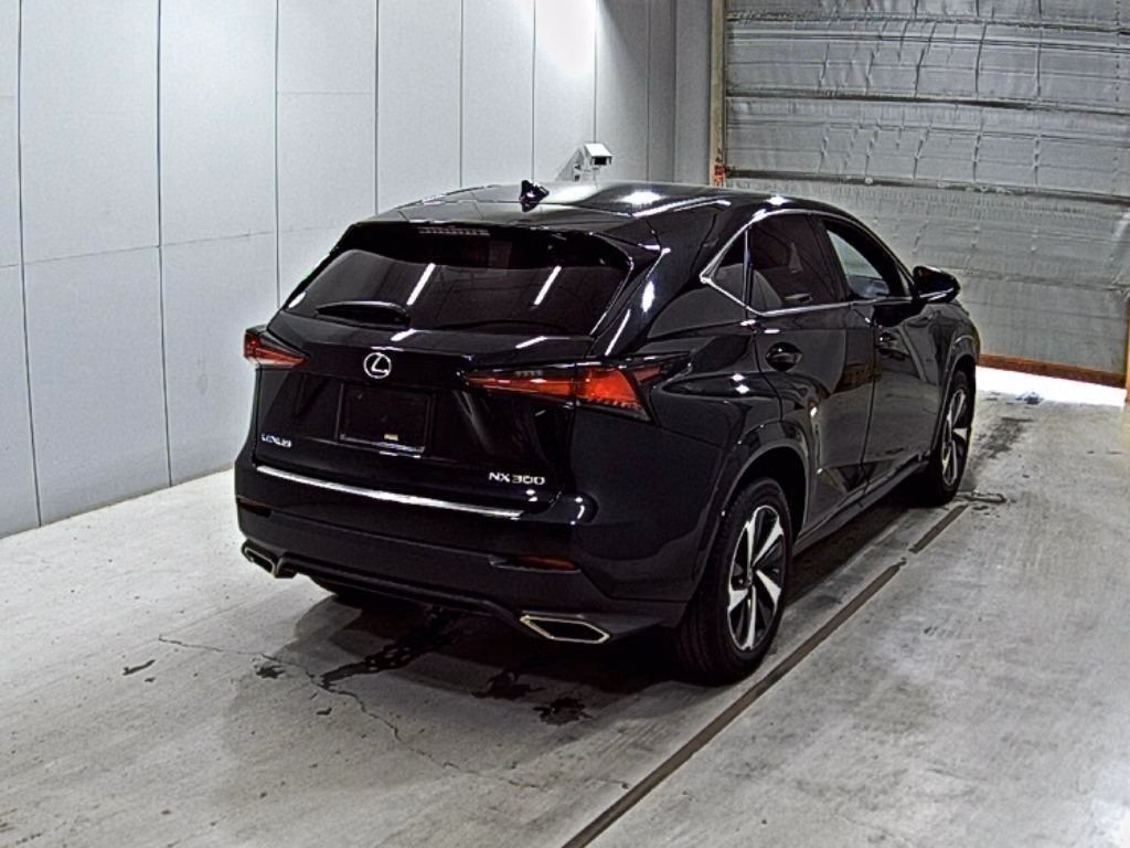 LEXUS NX300