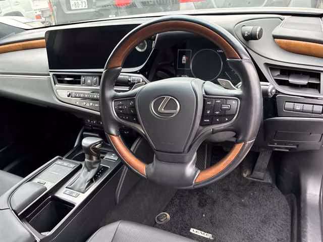 LEXUS ES300H