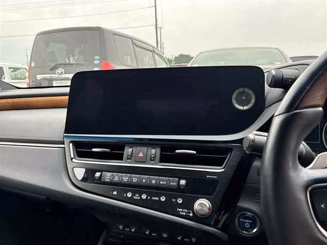 LEXUS ES300H