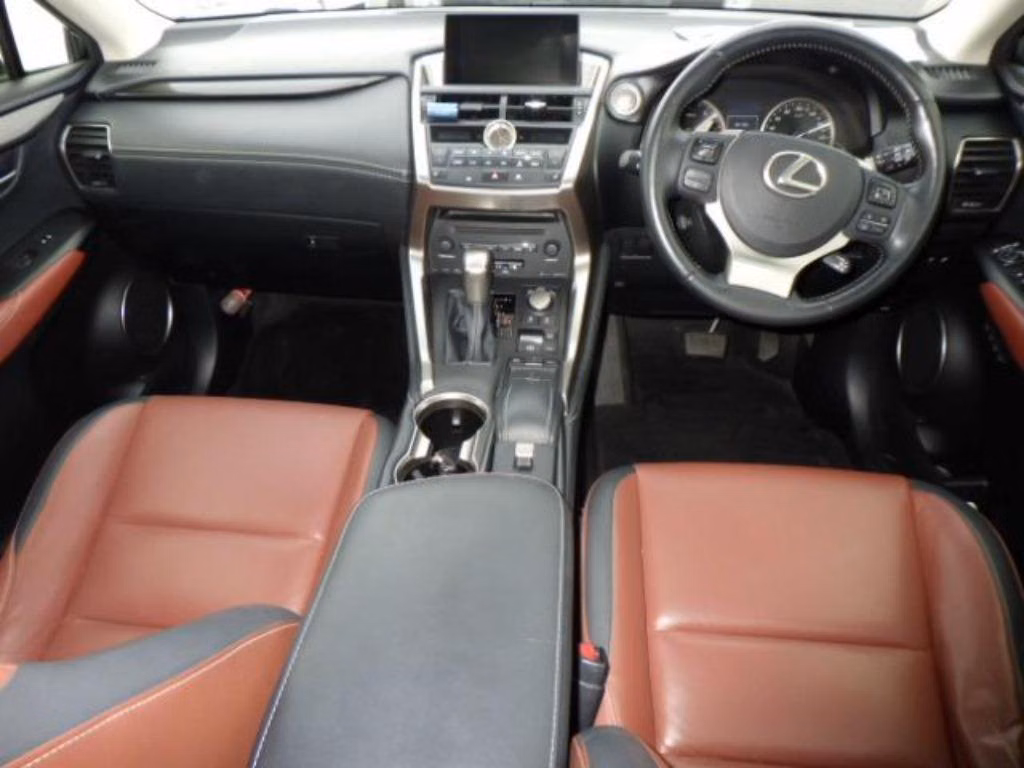 LEXUS NX200T