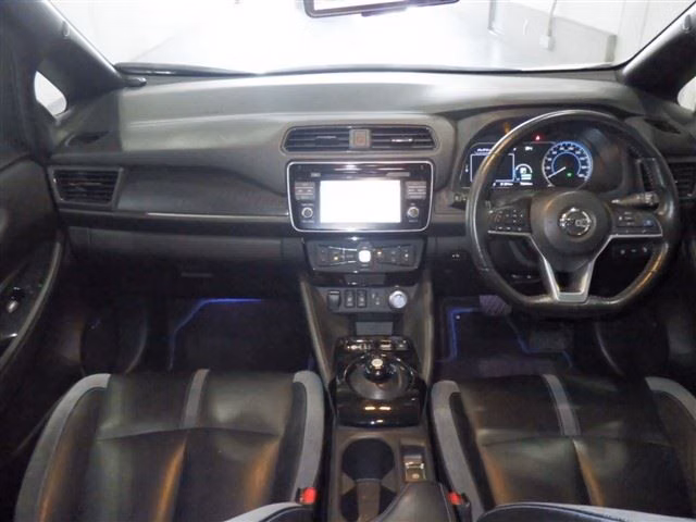 NISSAN LEAF