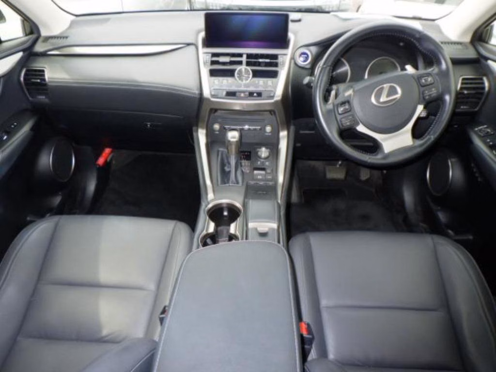 LEXUS NX300H