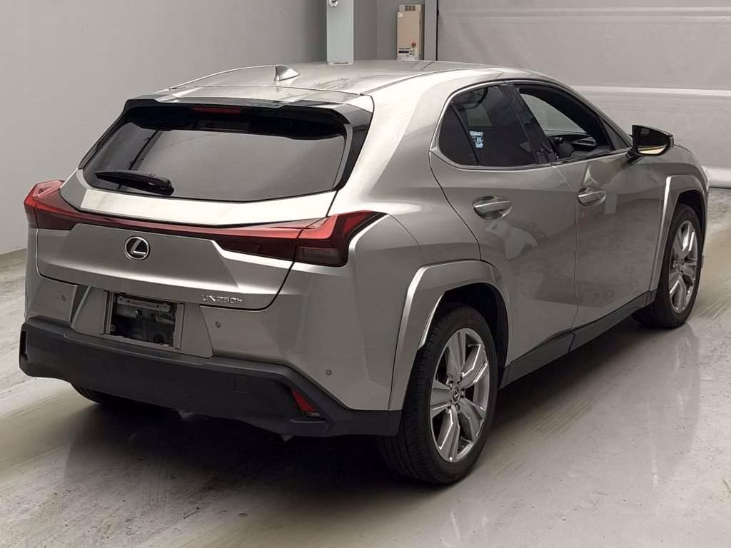 LEXUS UX250H