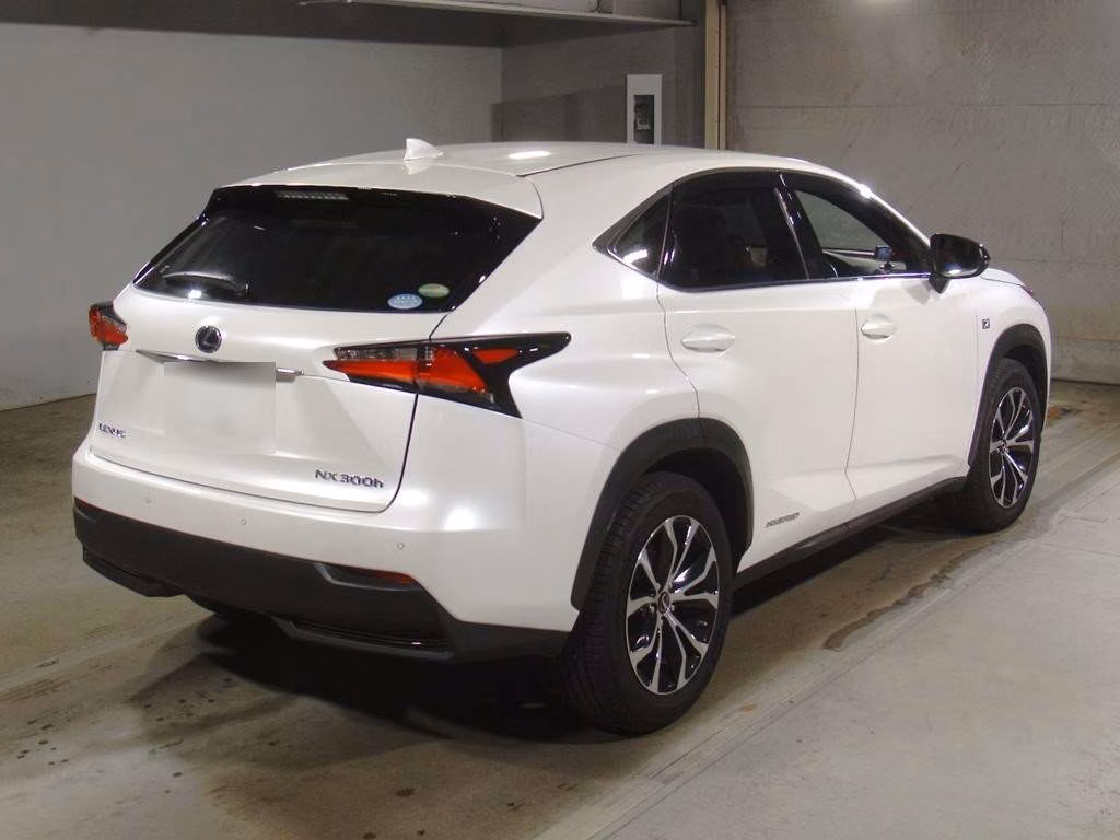 LEXUS NX300