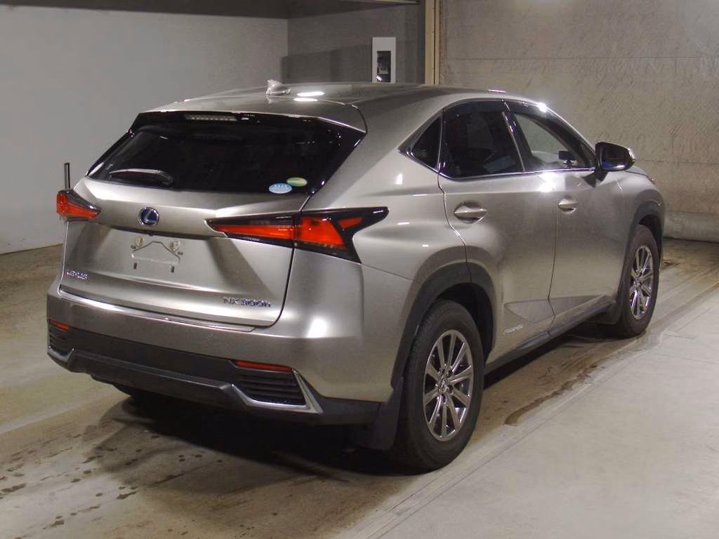 LEXUS NX300