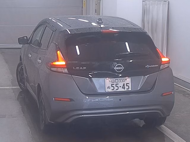 NISSAN LEAF