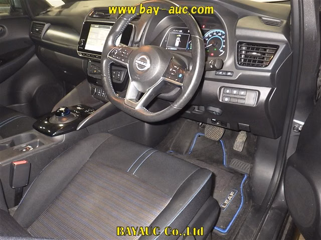 NISSAN LEAF