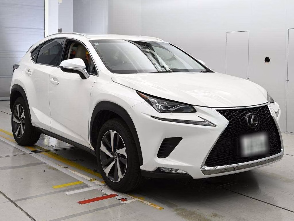 LEXUS NX300