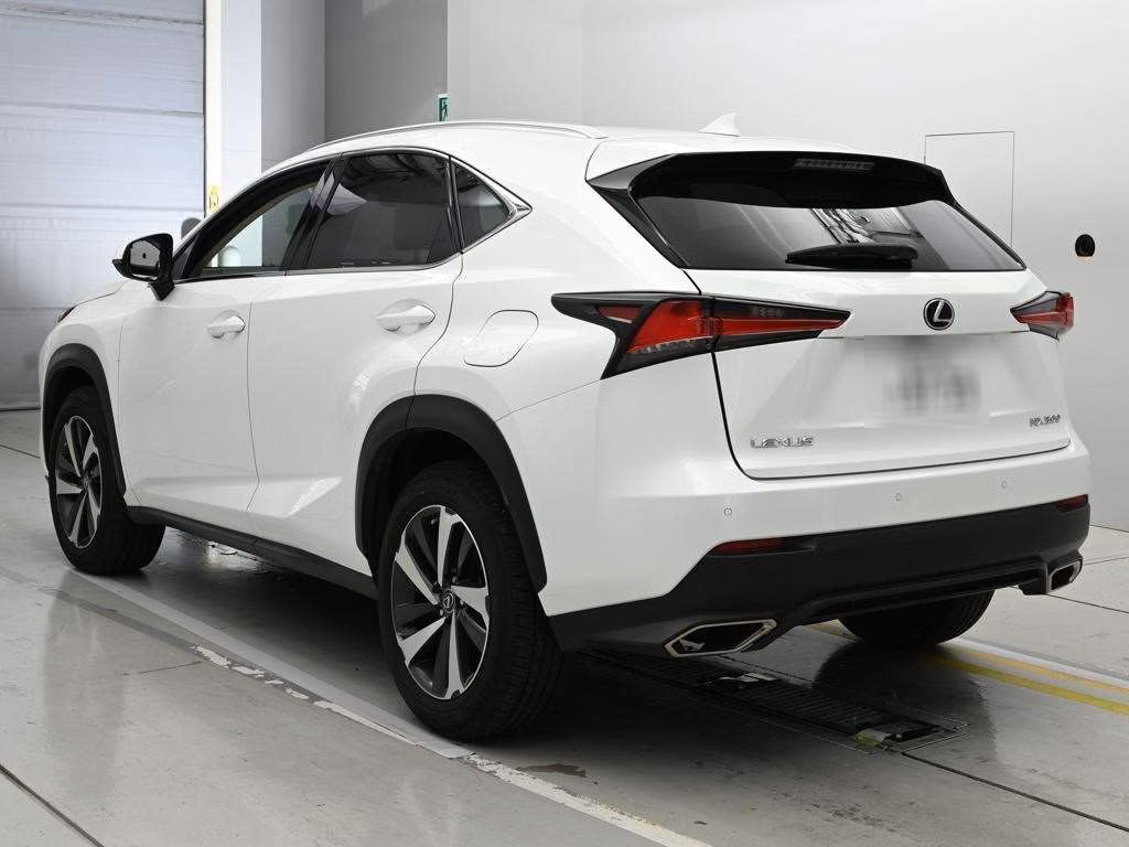 LEXUS NX300