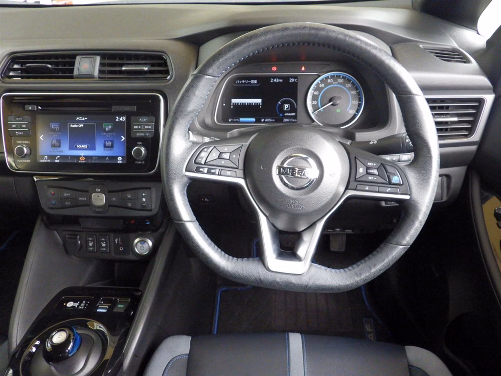 NISSAN LEAF