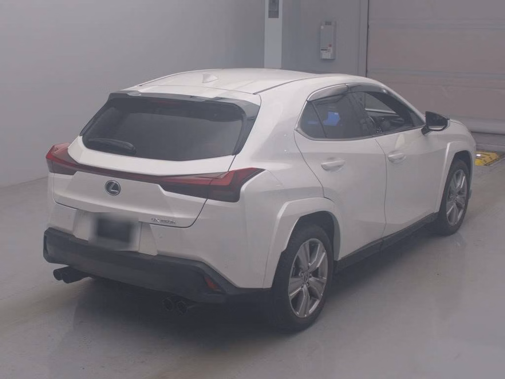 LEXUS UX250H